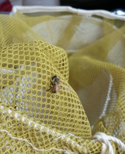 Are you happy now? You're dead, in my veil and yet I am going to smash on you some more.